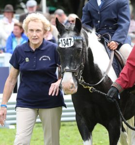 a woman leads a horse and young rider at a show event